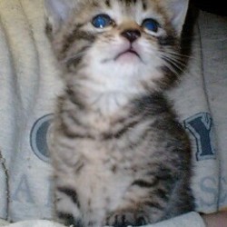 どーしてもイジりたくなる