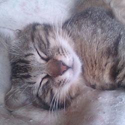 「どーしてもイジりたくなる」サムネイル2