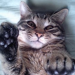 「どーしてもイジりたくなる」サムネイル3