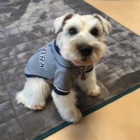 ペッパー