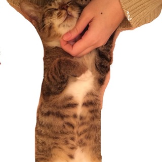 心お優しい里親さん募集