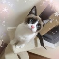 ミルちゃん