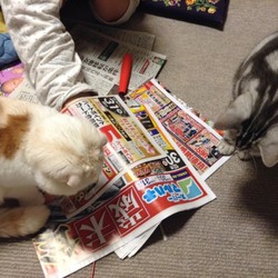 ベルがうちに来てそろそろ3週間