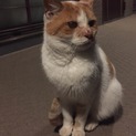 とても困っています。
