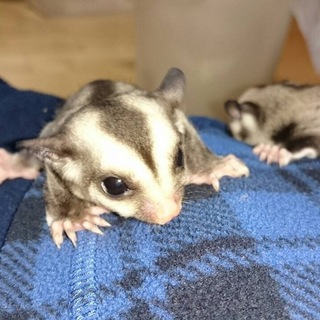 沢山の応募ありがとうございました。