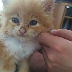 「今年もあと少し！」サムネイル2