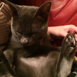 「今年もあと少し！」サムネイル3