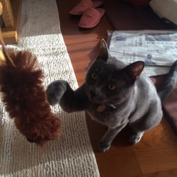 「お年玉！(੭ु´͈ ᐜ `͈)੭ु⁾⁾」サムネイル1