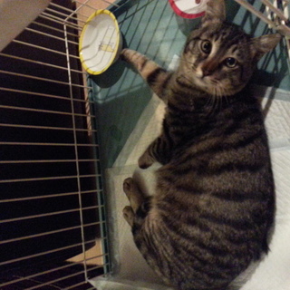 甘えん坊7ヶ月男の子