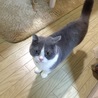 の写真