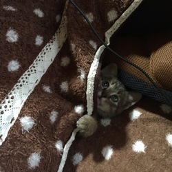 お姉ちゃん遊んで♪