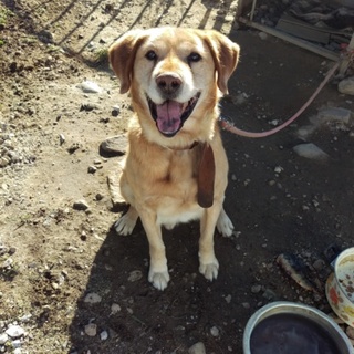 ありがとうございました☆置き去りのラッキー。