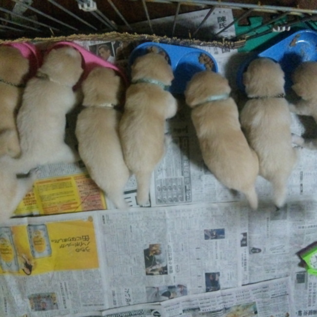 トゥールのカバー写真