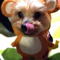 サスケ