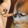 mikahtanakaさん