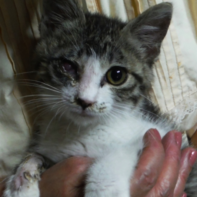 大瀬和幸のカバー写真