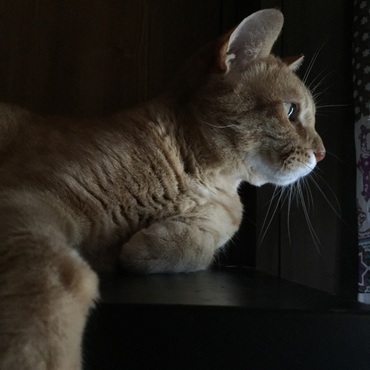 今年で11年になるのか、早いなぁ(´◦ω◦｀)