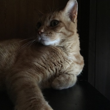 このアングルめっさカッコいい(*´ω｀*)