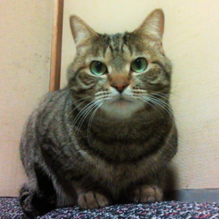 エアコンちゃん