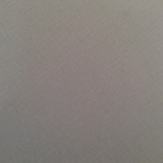 とっても素敵な里親さんに出会いました。