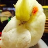  さん