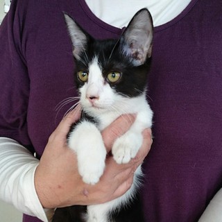 ☆可愛い黒白男の子☆