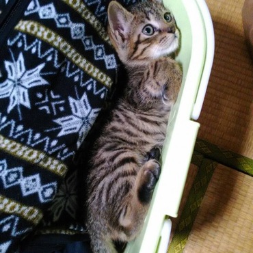 ここ落ち着くかも(^.^)