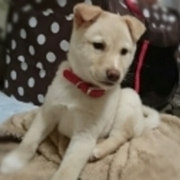 ゆずと