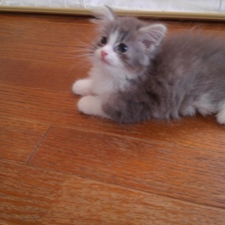 応募多数で休止してます