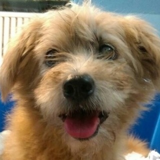 生きるために再び自力で立ち上がり笑ったチビトト君