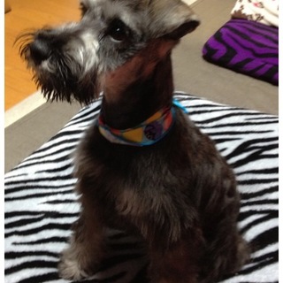 お願いします‼︎