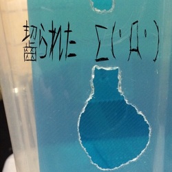 ラット達が新居に引っ越ししました( ^ω^ )