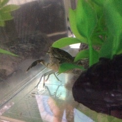 「終わりなき旅」サムネイル1