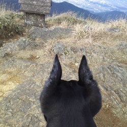 インスタグラム始めました