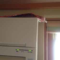 「まもなく放鳥終了…」サムネイル2