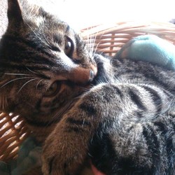 熟して来ました！！