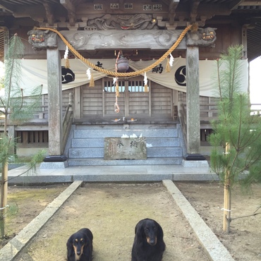 あけましておめでとうございます(*^o^*)