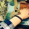 2016.1.3 はじめてうちにきた日。