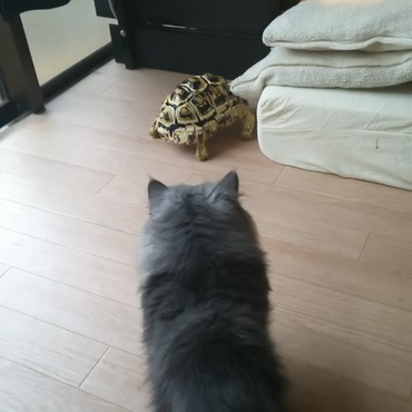 天ちゃんの写真