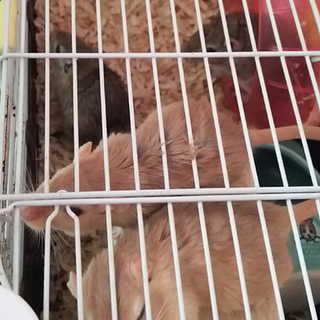 ありがとうございましたｍｍ