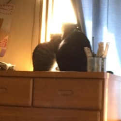 お外出たいf^_^;)