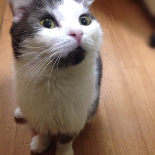 まん丸男の子☆ぽっち太郎（一時停止）