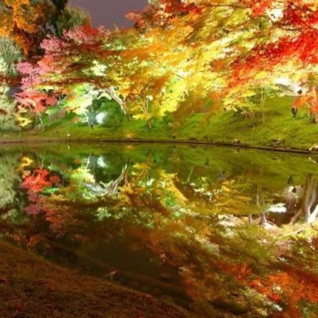 taochan32のカバー写真