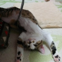 「あれ？？」サムネイル2