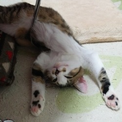 「あれ？？」サムネイル3