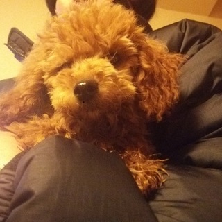 元気いっぱいロック君♪