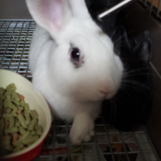 ありがとうございました