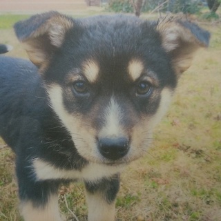 心が暖まり癒やされます。