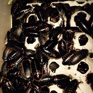 たくさんのご応募ありがとうございました