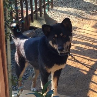 もらってください！